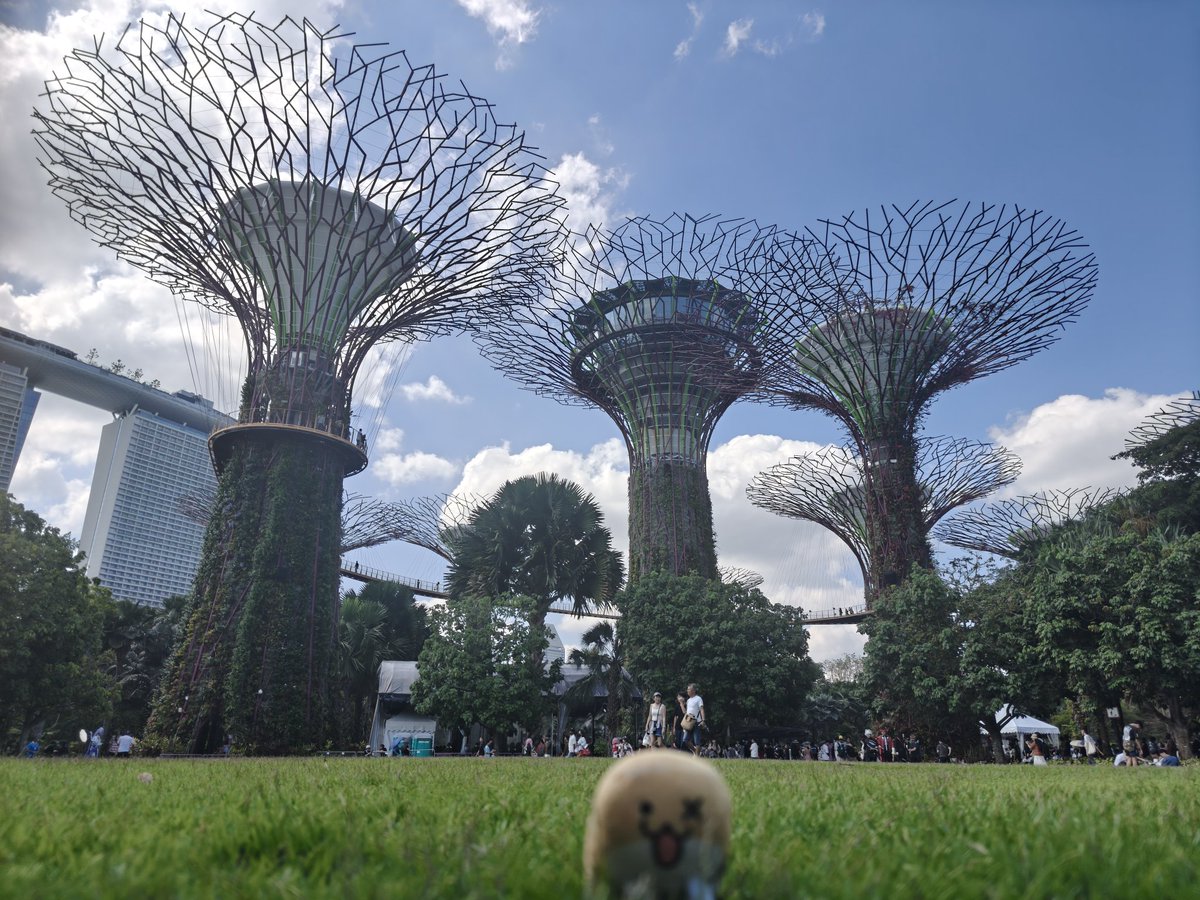 Buwuchi ( ｡-ᆺ-｡マ tweet media