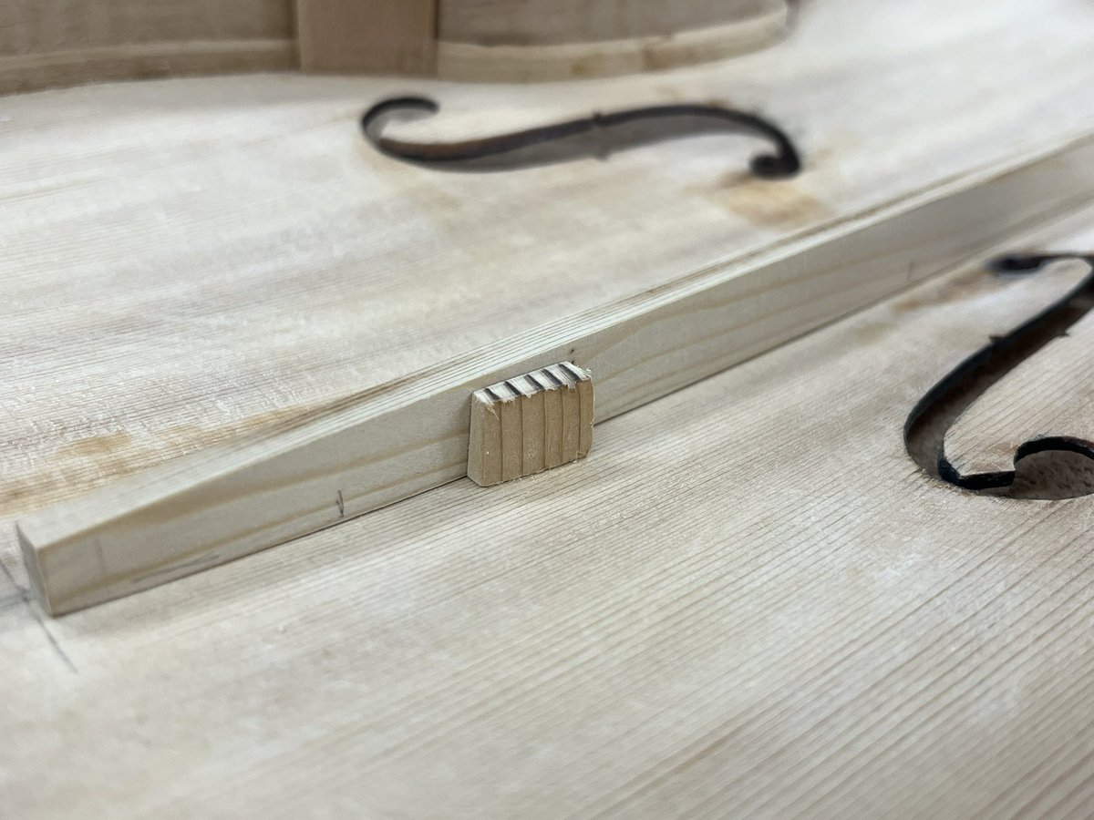 Catherine🌻 tweet media