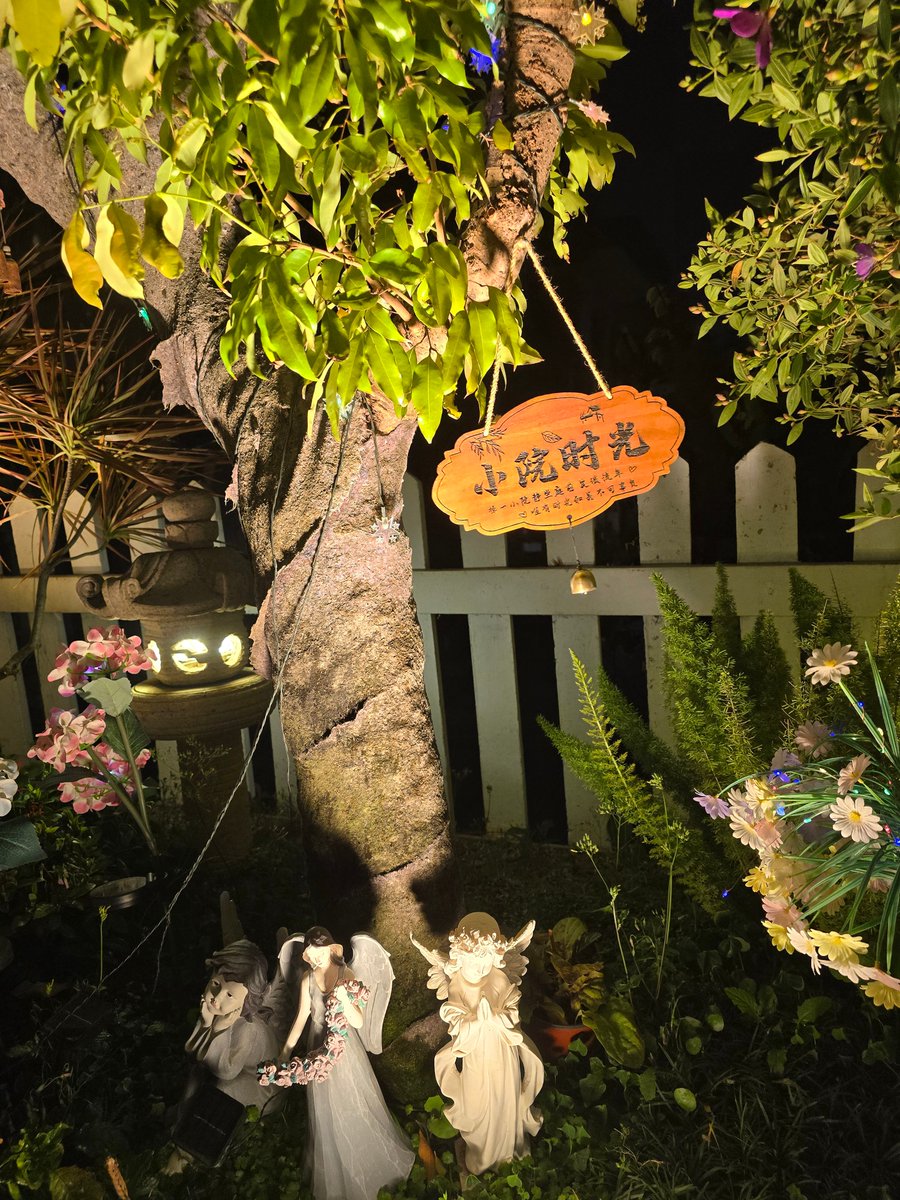 Lana Nguyen ❤️ Memecoin tweet media