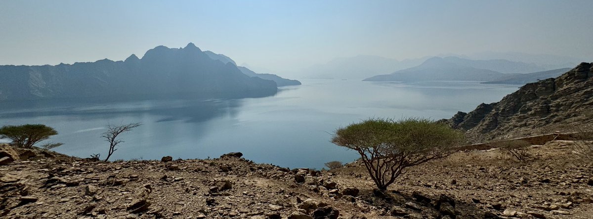 John Glover tweet media