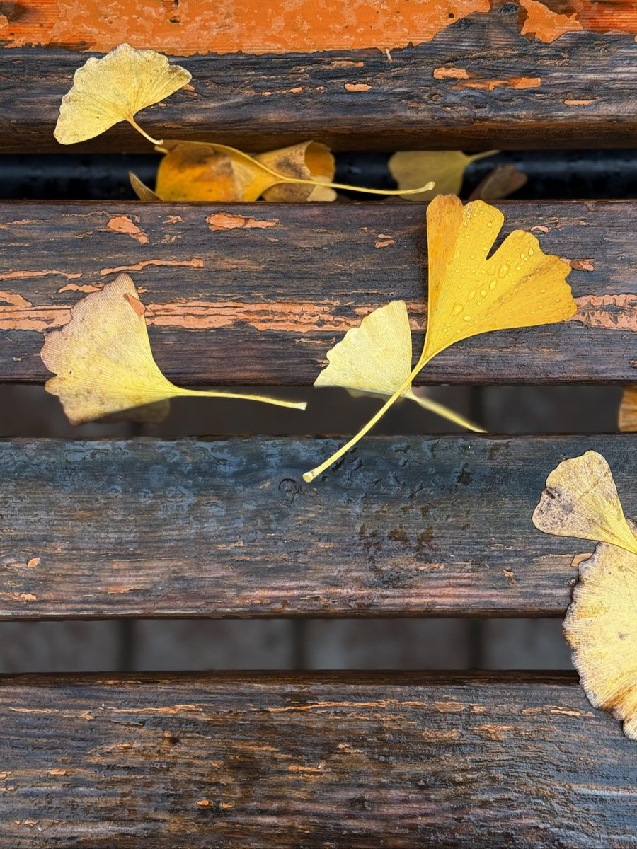 radityamitsui tweet media