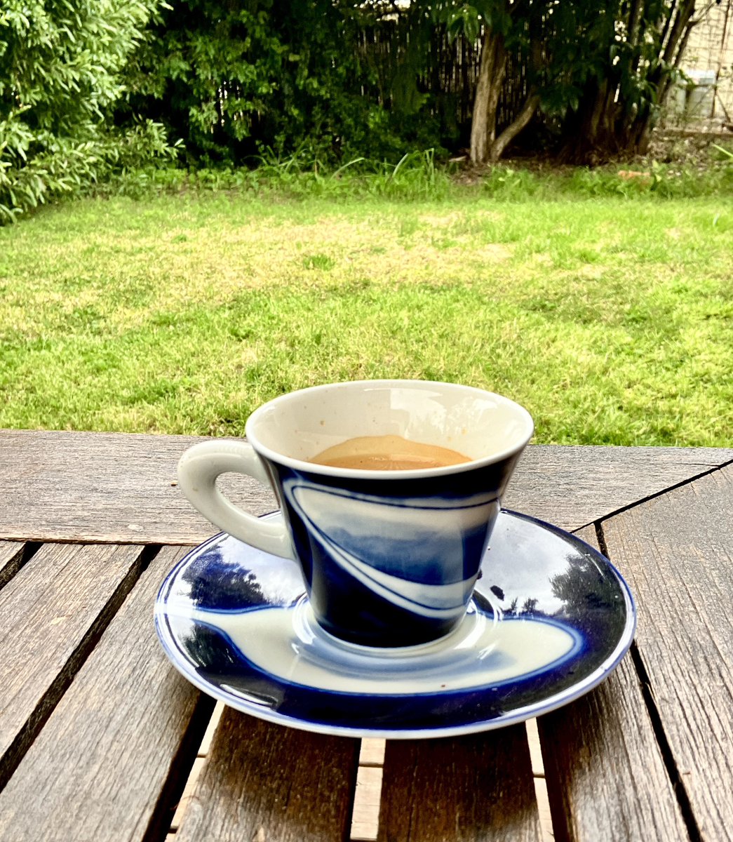 🟣 Rotem tweet media