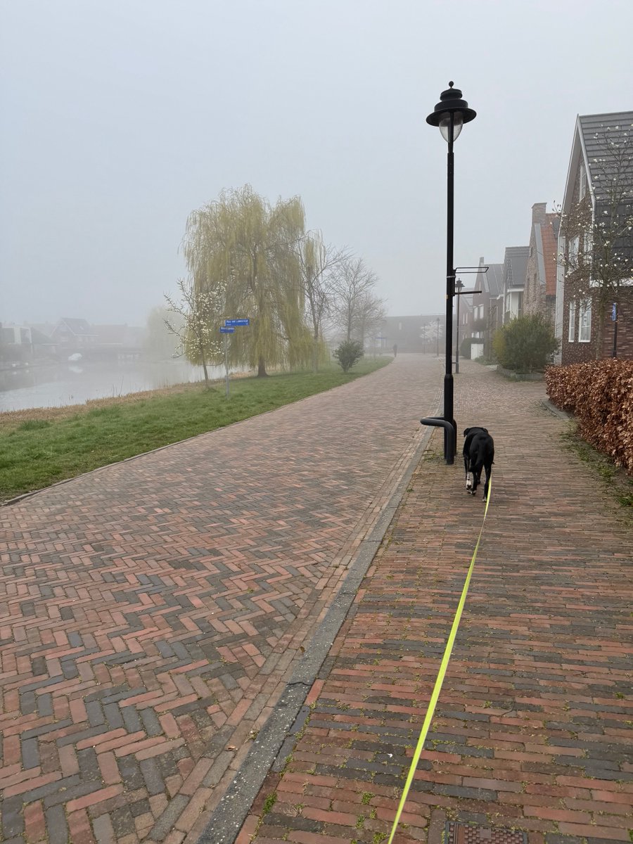 fluweel's tweet photo. Vroeg koud en mistig in Flevoland. Koffie dan maar en dieren verzorgen en voeren 🐈❤️🐕‍🦺🍀 https://t.co/ZxMwrj1Lws