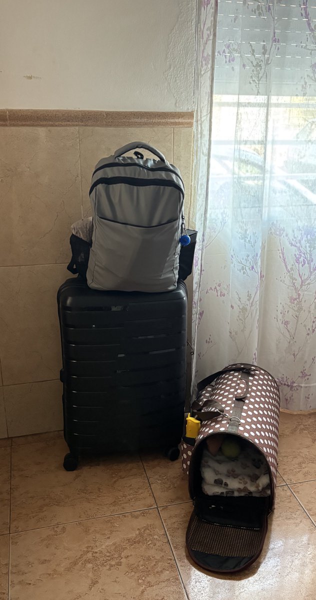 .JonGonzalez. tweet media