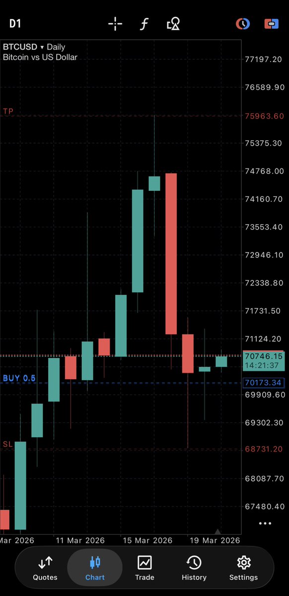 B Trader tweet media