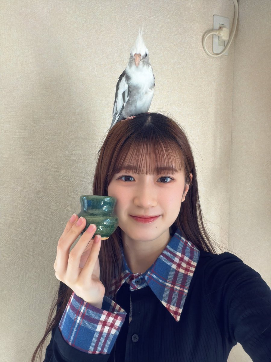 杉山月渚 tweet media