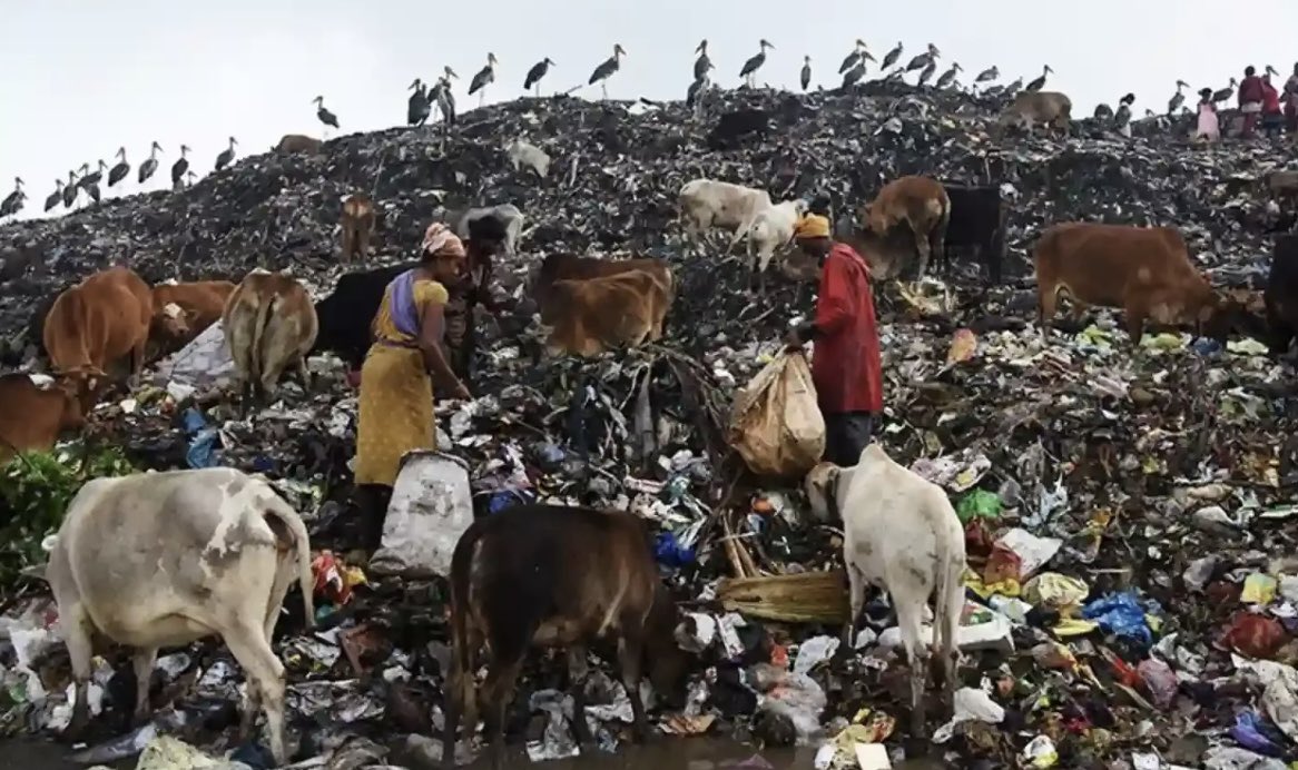 DoINTEL⚡️ tweet media