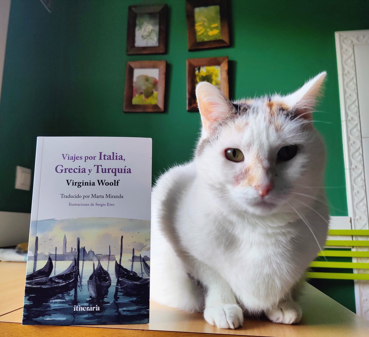 maiteximenez's tweet photo. Virginia en la Acrópolis 🏛️

«...todo el paisaje parece aterciopelado como un melocotón, con delicadas sombras púrpura».
🔖VIRGINIA WOOLF, «Viajes por Italia, Grecia y Turquía» (Cartas)
Edición y traducción: Marta Miranda.
Ilustraciones: Sergio Erro. 
Itineraria editorial 2025. https://t.co/Ecf0EwjWnB