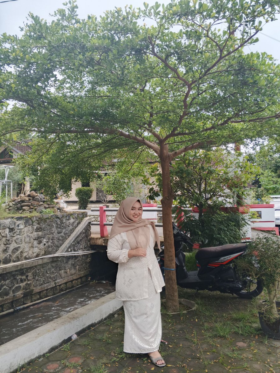 Seonggok Upil! tweet media
