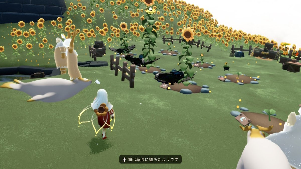 流星輝夜 tweet media