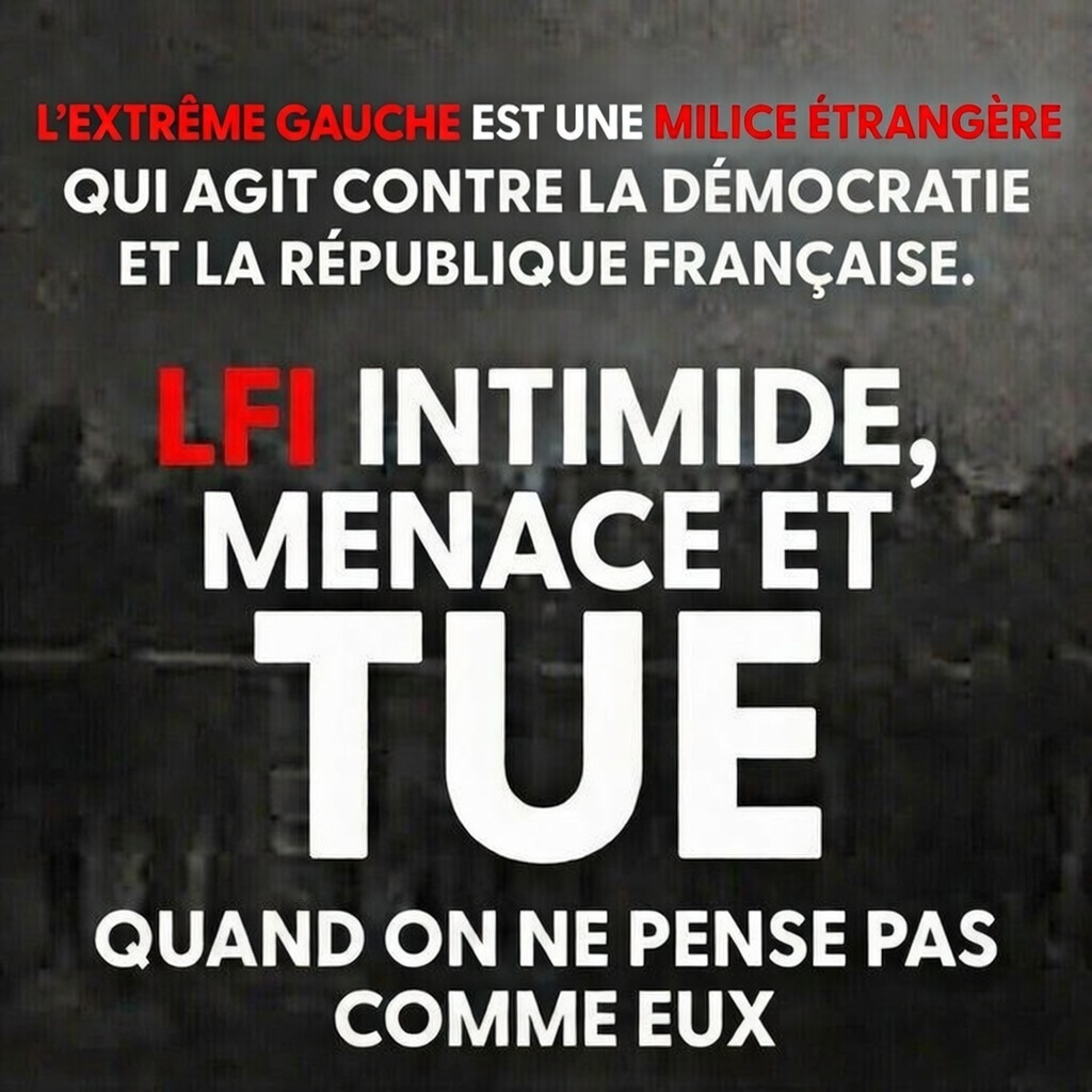 La France, Patrie résistante tweet media