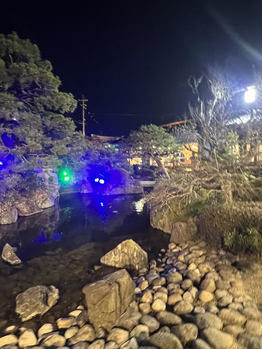 pomknockn's tweet photo. 地元のオタクたちに教えてもらったお寿司美味しかった🍣日本庭園風？でおもろかった(笑) https://t.co/mDwopFG6jX