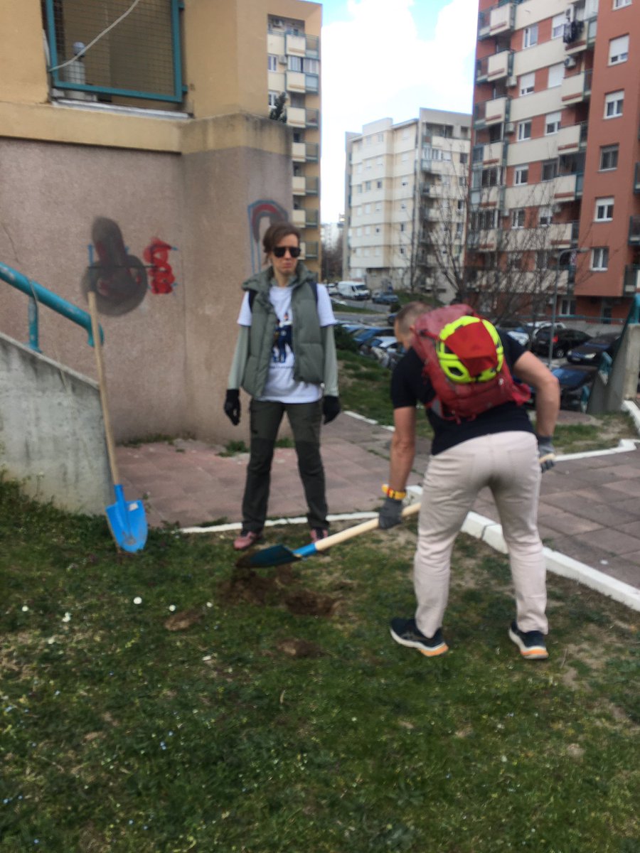 šuma peva tweet media