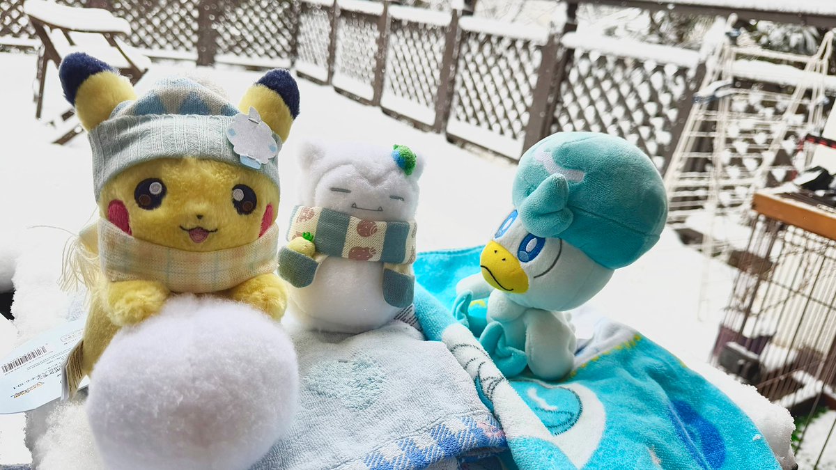 大和田 伸也 tweet media