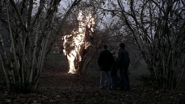 ela୨ৎ tweet media