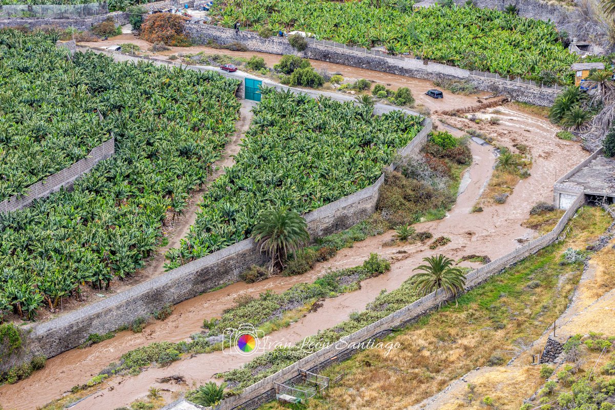 Iván León Santiago tweet media