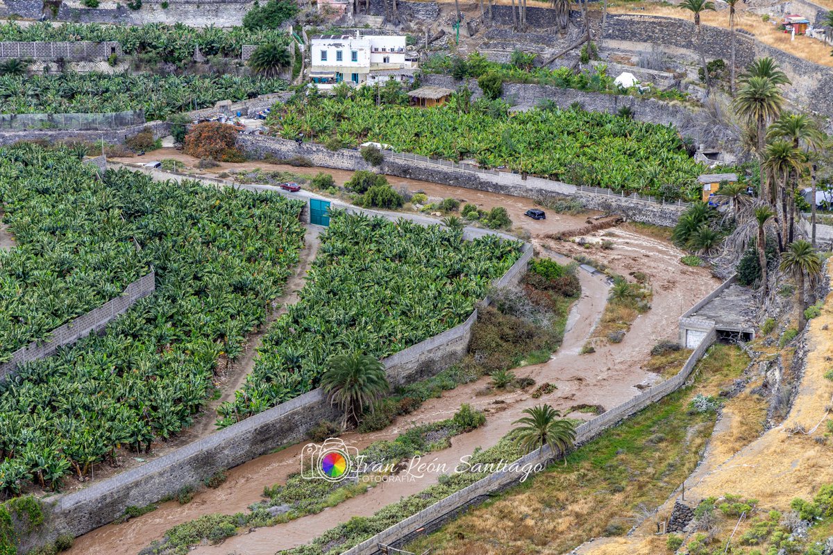 Iván León Santiago tweet media