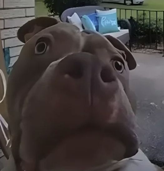 ❤️💙Goob💙❤️ tweet media