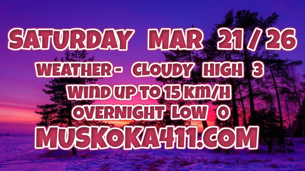 Muskoka411 News tweet media