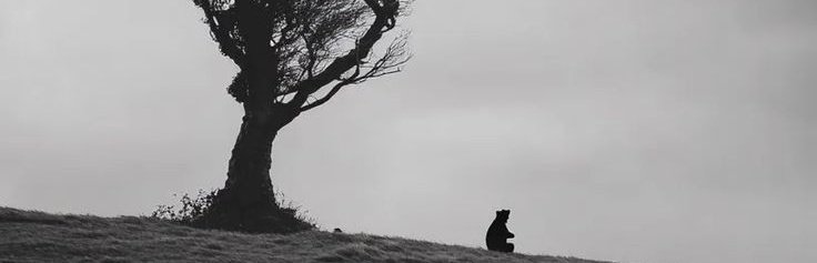 𝘠𝘰𝘶 𝘤𝘢𝘯’𝘵 𝘤𝘰𝘯𝘵𝘳𝘰𝘭 𝘦𝘷𝘦𝘳𝘺𝘵𝘩𝘪𝘯𝘨. 𝘉𝘶𝘵 𝘺𝘰𝘶 𝘤𝘢𝘯 𝘤𝘰𝘯𝘵𝘳𝘰𝘭 𝘠𝘰𝘶𝘳 𝘪𝘯𝘵𝘦𝘯𝘵𝘪𝘰𝘯𝘴, 𝘠𝘰𝘶𝘳 𝘵𝘩𝘰𝘶𝘨𝘩𝘵𝘴, 𝘠𝘰𝘶𝘳 𝘴𝘱𝘦𝘦𝘤𝘩, 𝘠𝘰𝘶𝘳 𝘩𝘢𝘣𝘪𝘵𝘴, 𝘠𝘰𝘶𝘳 𝘳𝘦𝘴𝘱𝘰𝘯𝘴𝘦 𝘵𝘰 𝘤𝘩𝘢𝘭𝘭𝘦𝘯𝘨𝘦𝘴, 𝘠𝘰𝘶𝘳 𝘤𝘩𝘢𝘳𝘢𝘤𝘵𝘦𝘳.