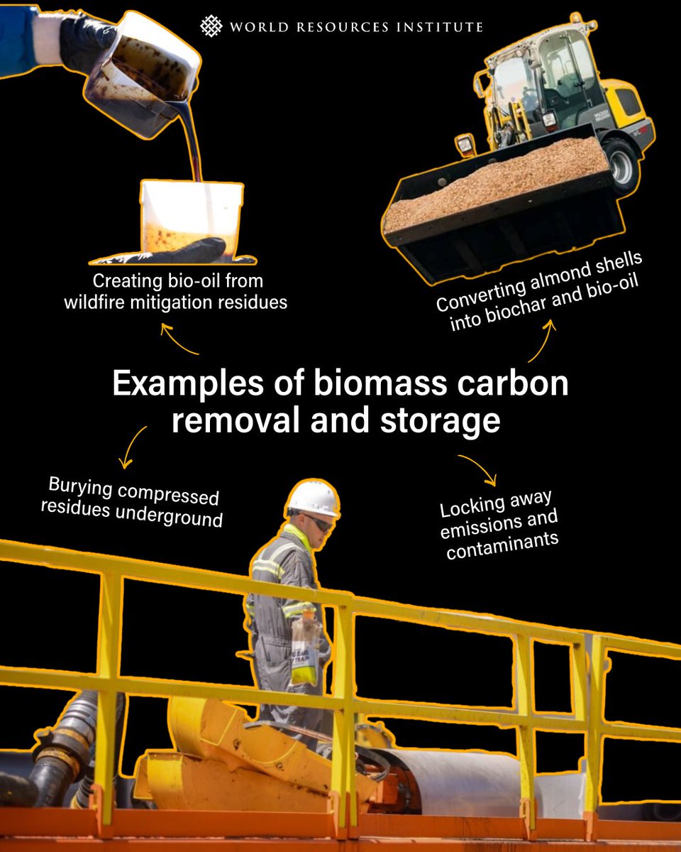 WRI Climate tweet media