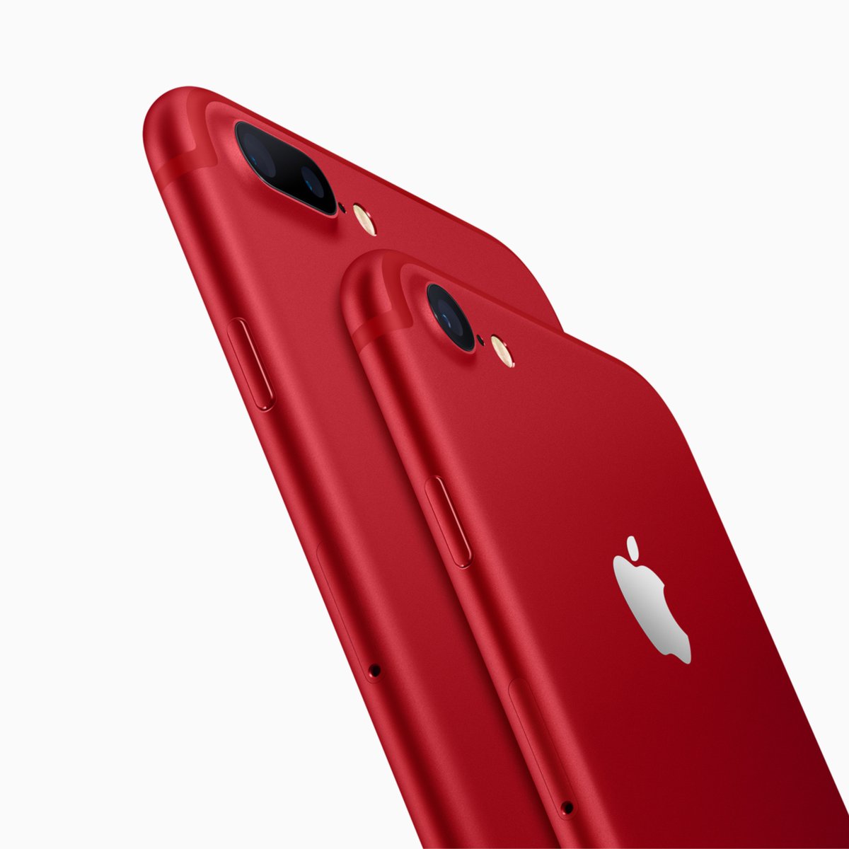 Private Talky tweet media