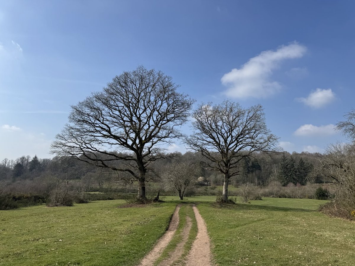 Mandy Cook tweet media