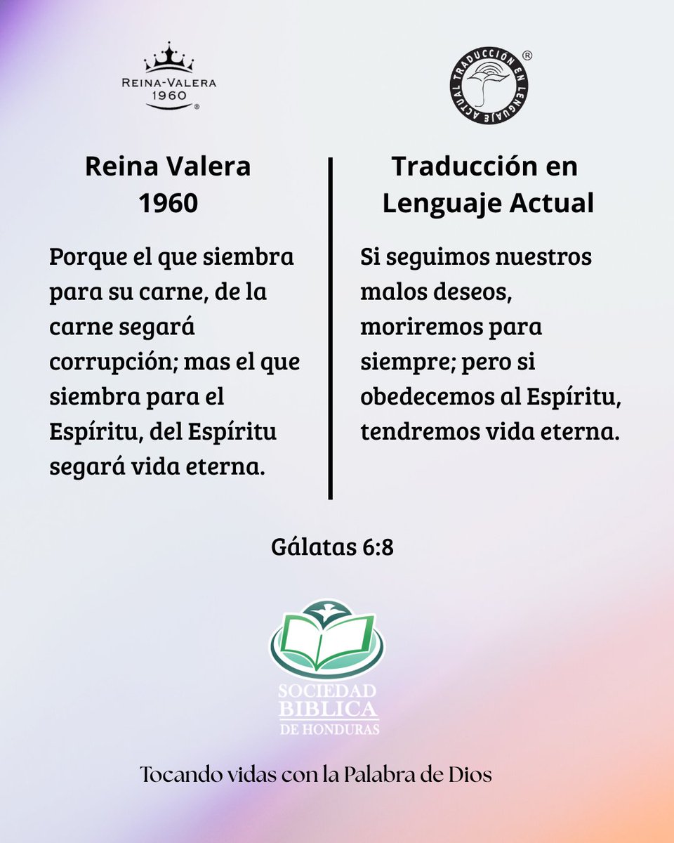 Sociedad Bíblica de Honduras (@sbuhn) on Twitter photo 