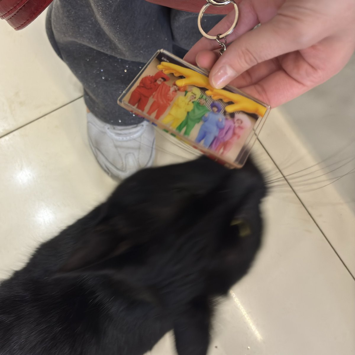 꿀파이🍯byul | ENHYPEN IS 7 tweet media