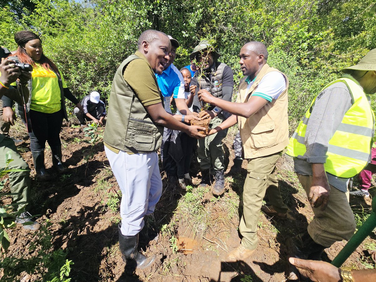 WWF-Kenya tweet media