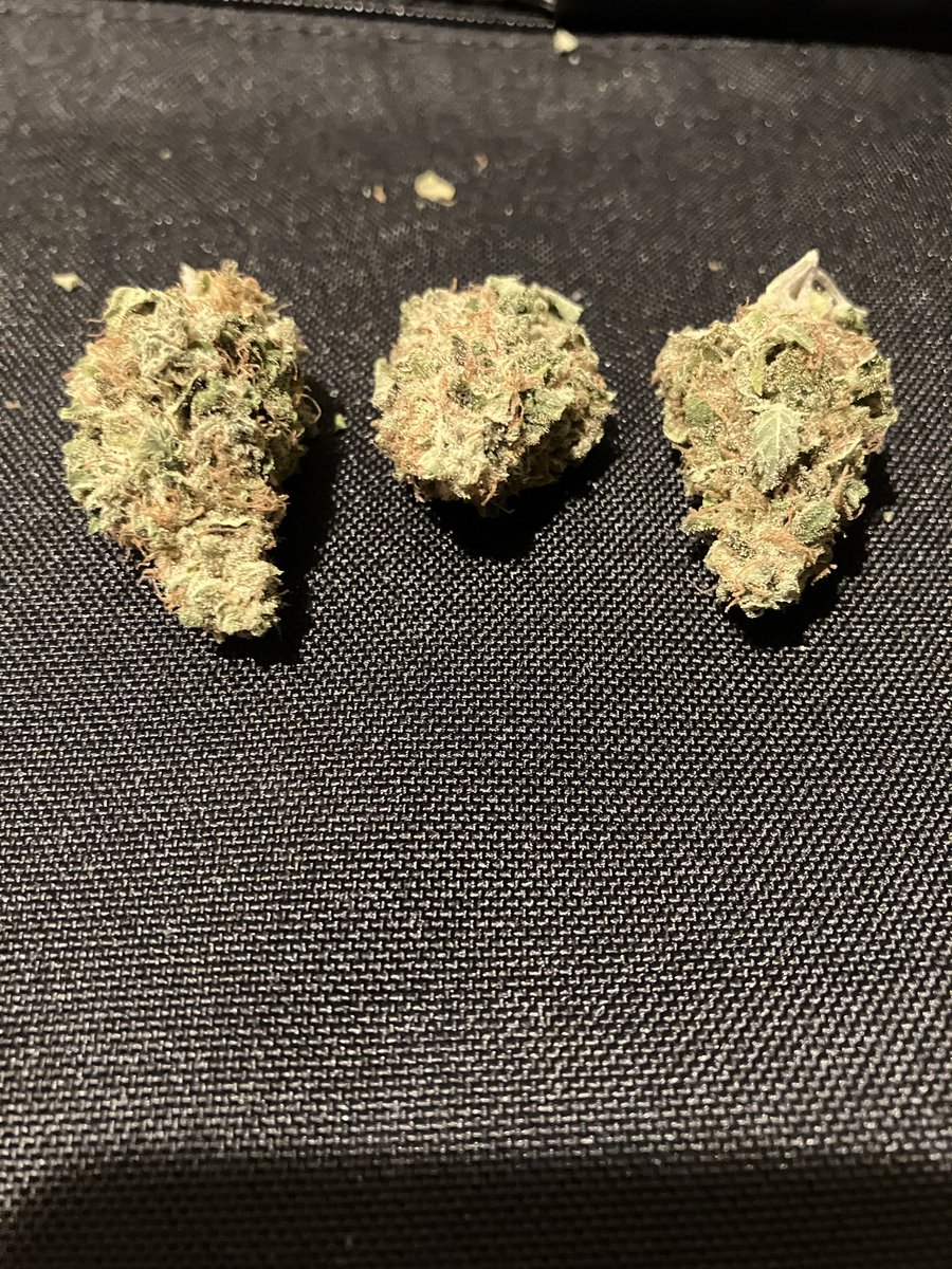 📸写真館📸 tweet media