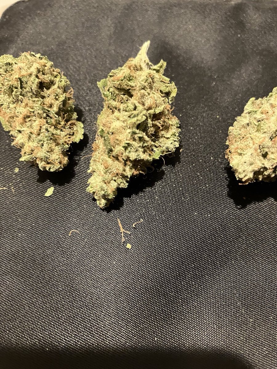 📸写真館📸 tweet media