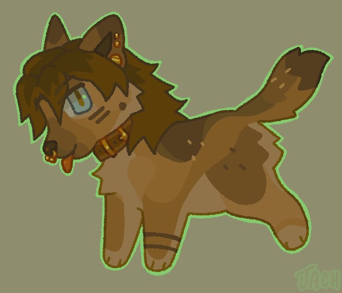 jach 👽 tweet media