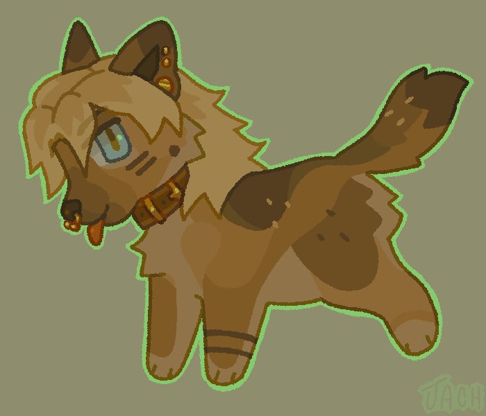 jach 👽 tweet media