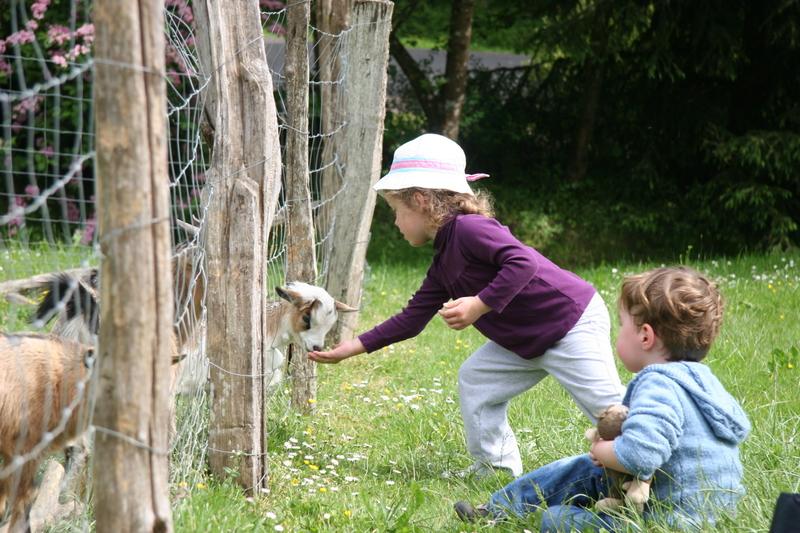 La Chèvre tweet media