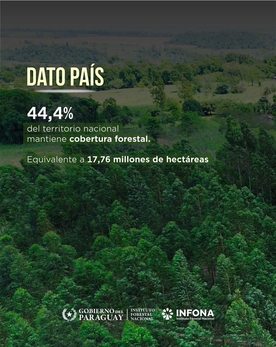 Instituto Forestal Nacional del Paraguay tweet media
