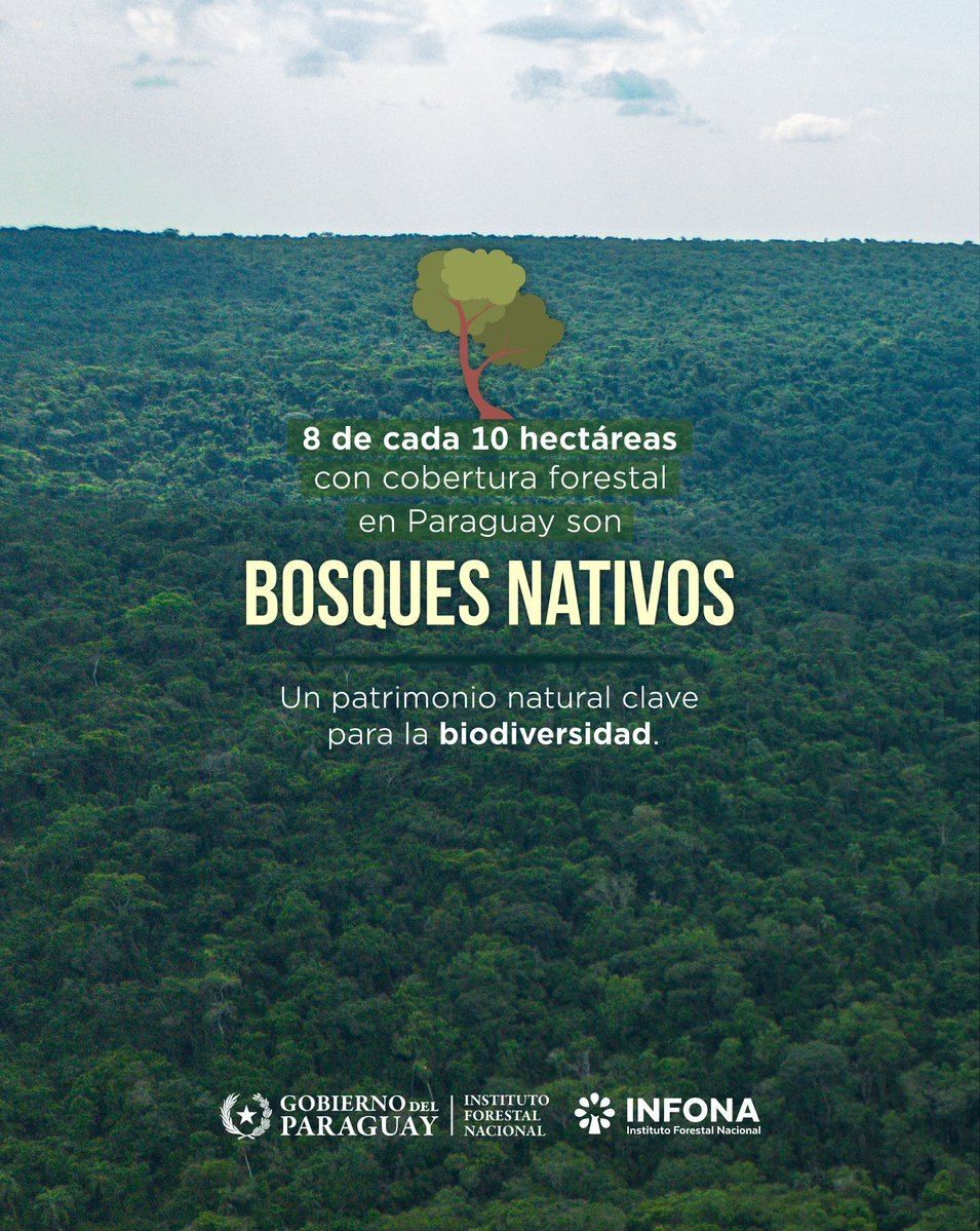 Instituto Forestal Nacional del Paraguay tweet media