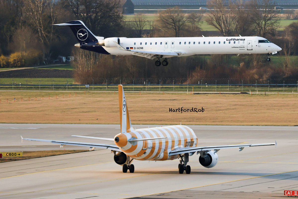 HartfordRob tweet media