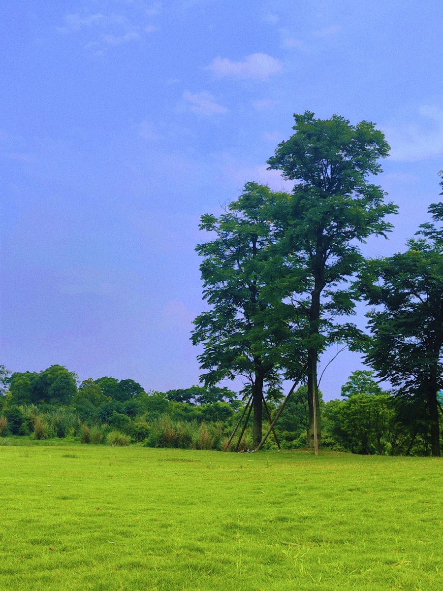 Tammy Clarke tweet media