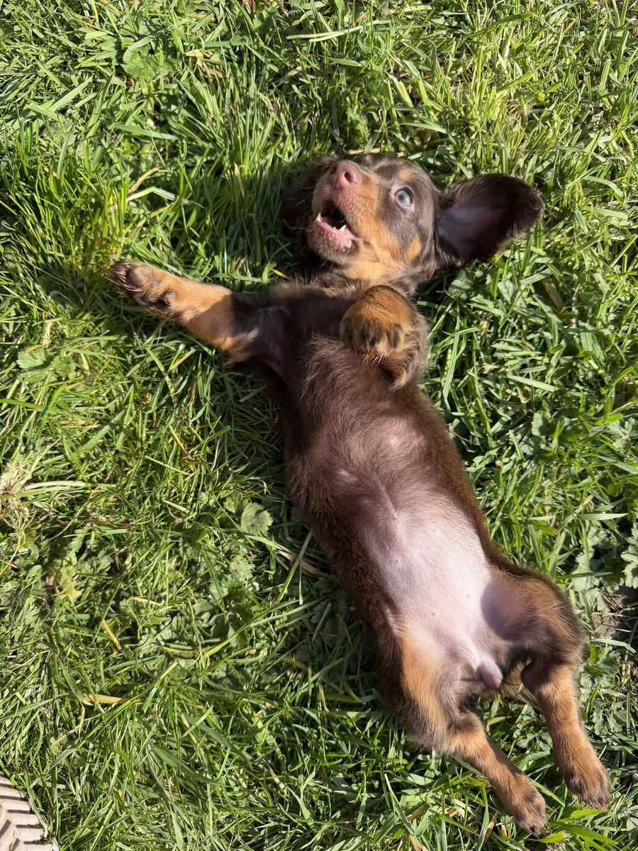 Heather 🐍 tweet media