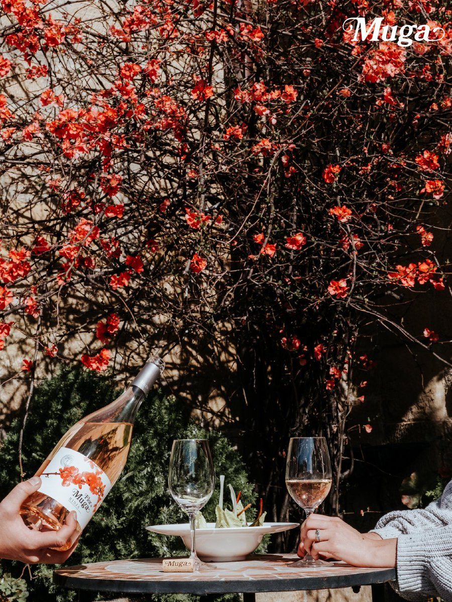 Bodegas Muga tweet media