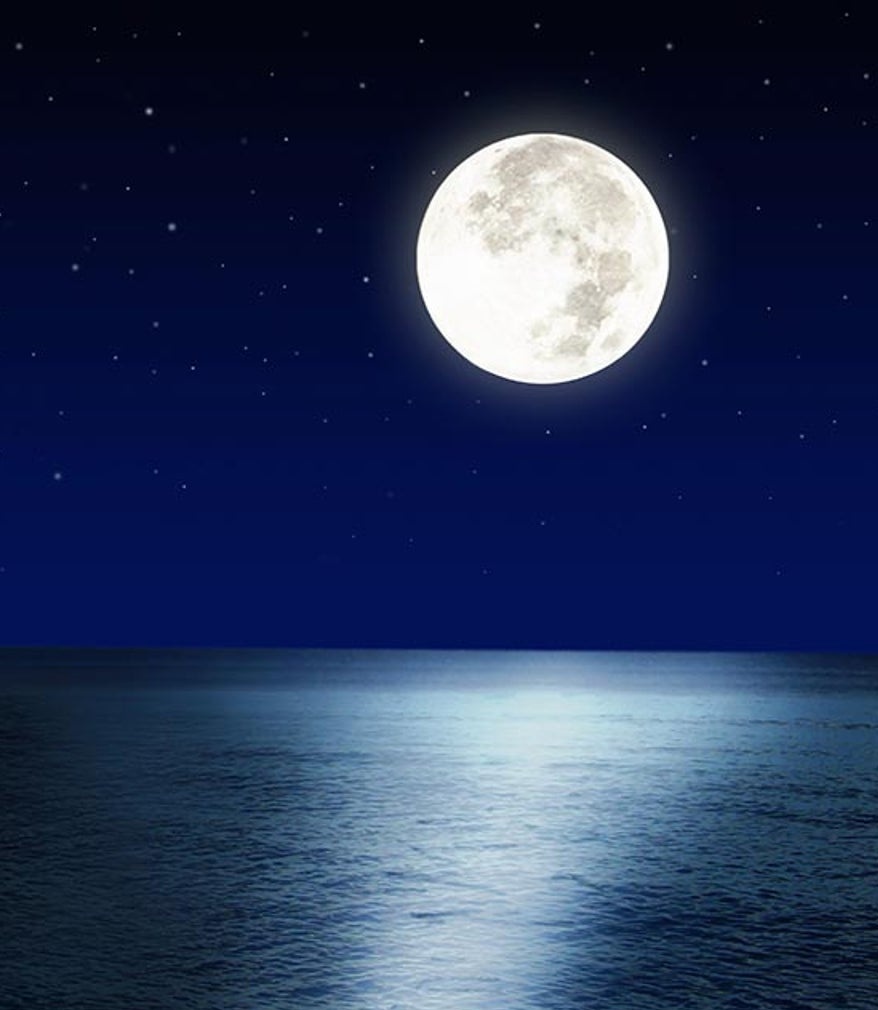 Sumita Dutta ( m@moni) tweet media