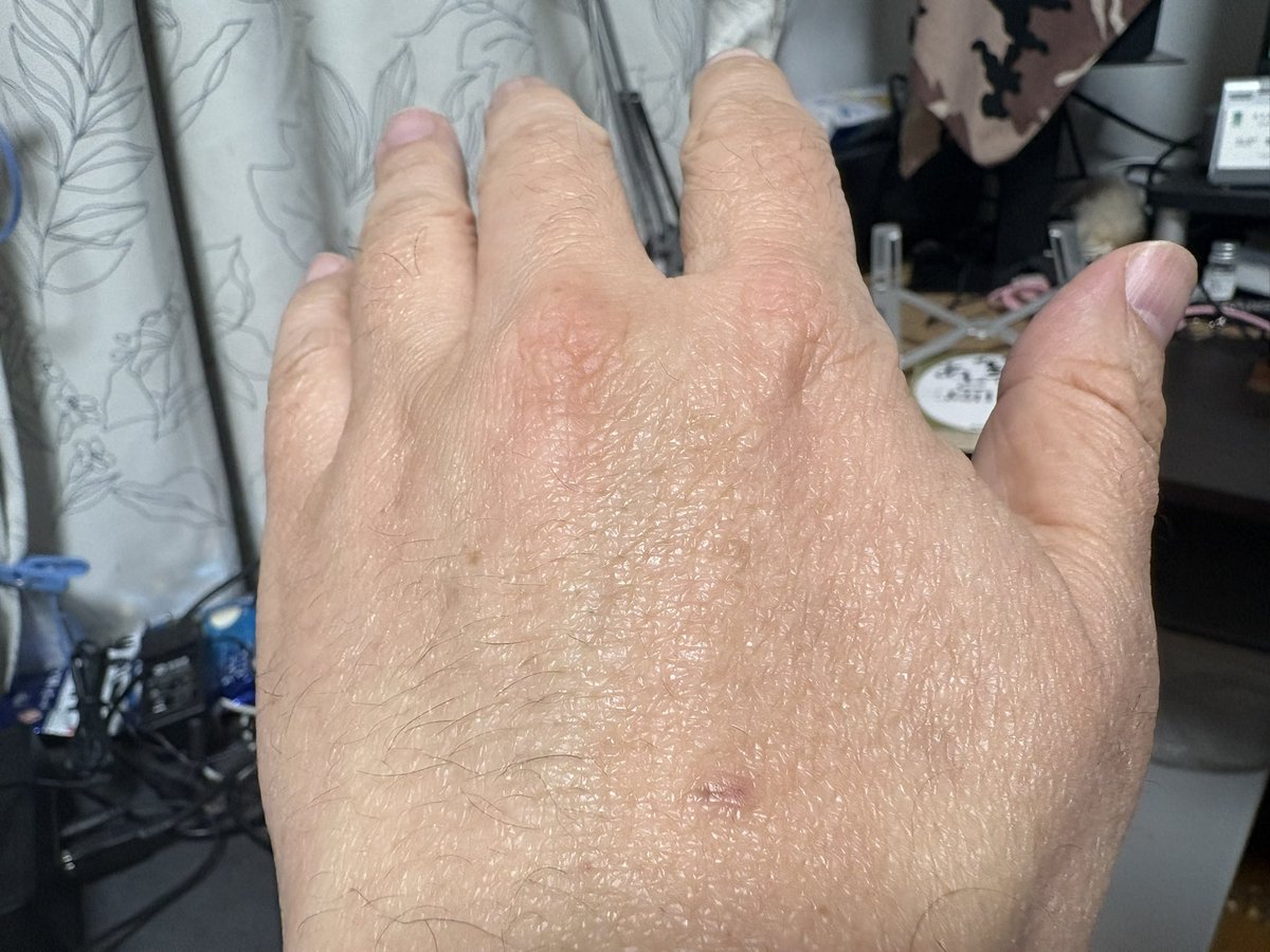 ぷよ兄@ベース tweet media