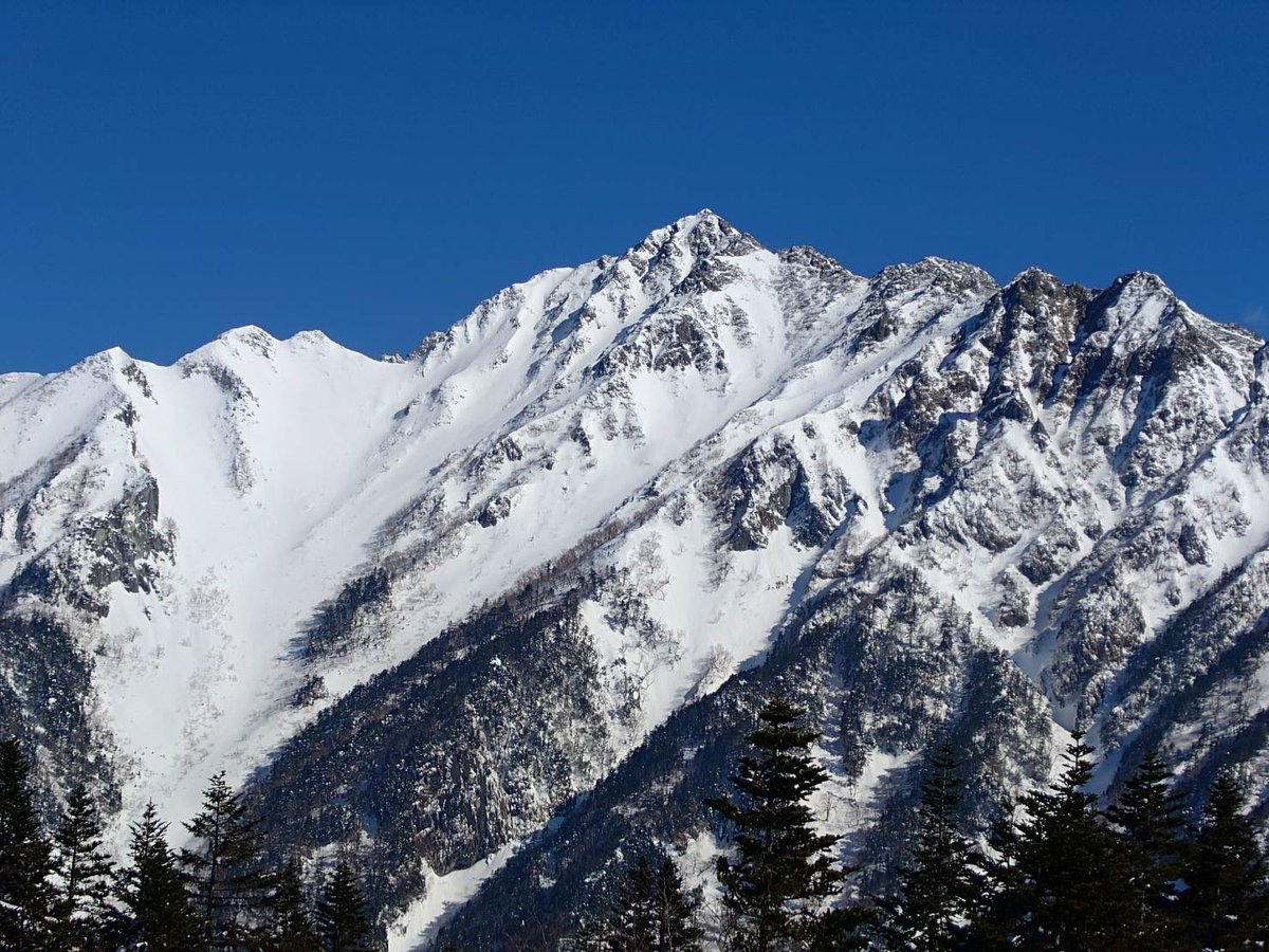 草津JCT フォールガイズ tweet media