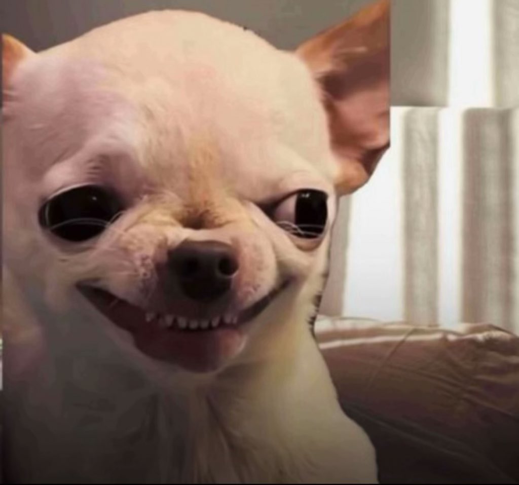 Phronesis ❤️🌹🌻 tweet media