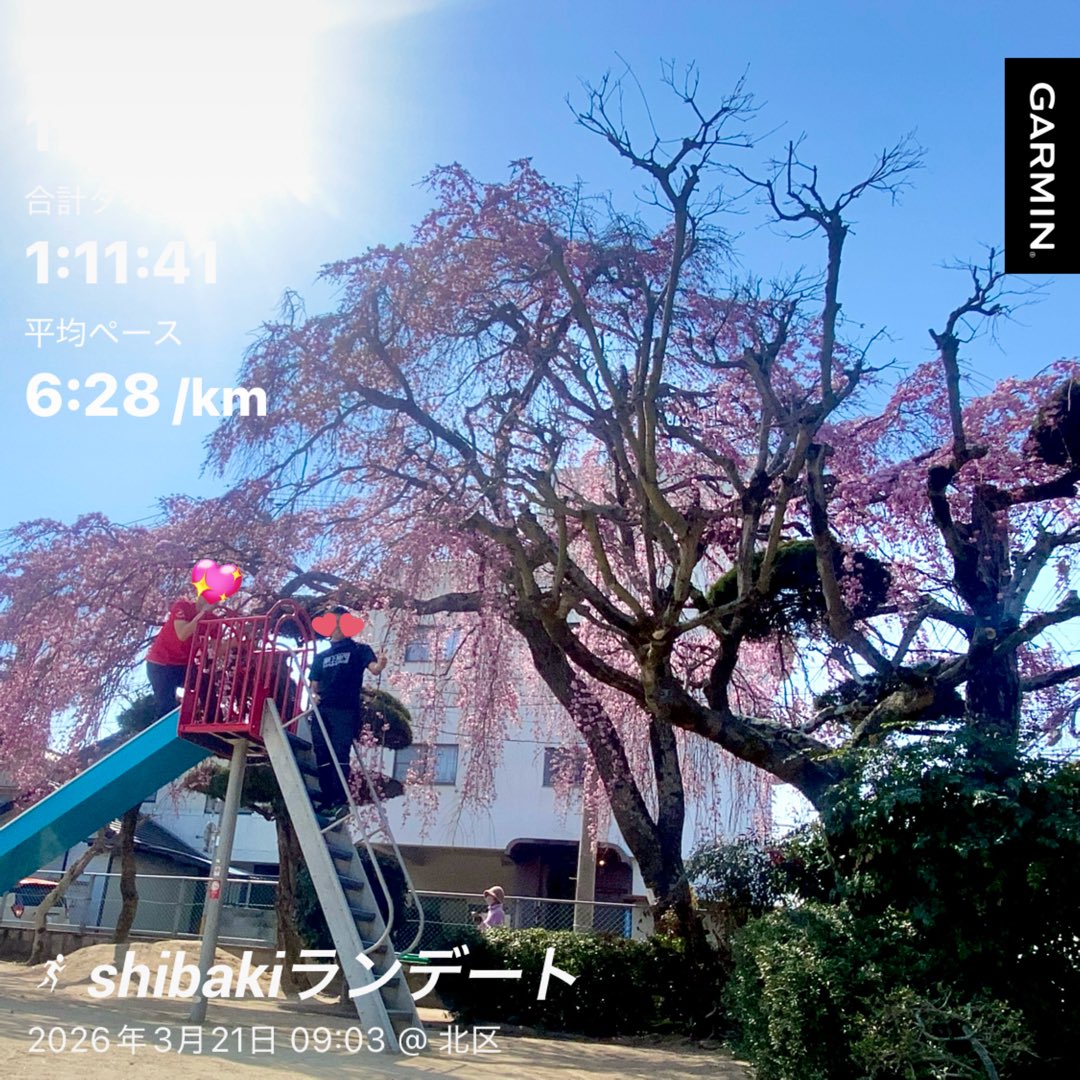 RunTazzo @津山加茂郷🐮→富士登山競走🐮 tweet media