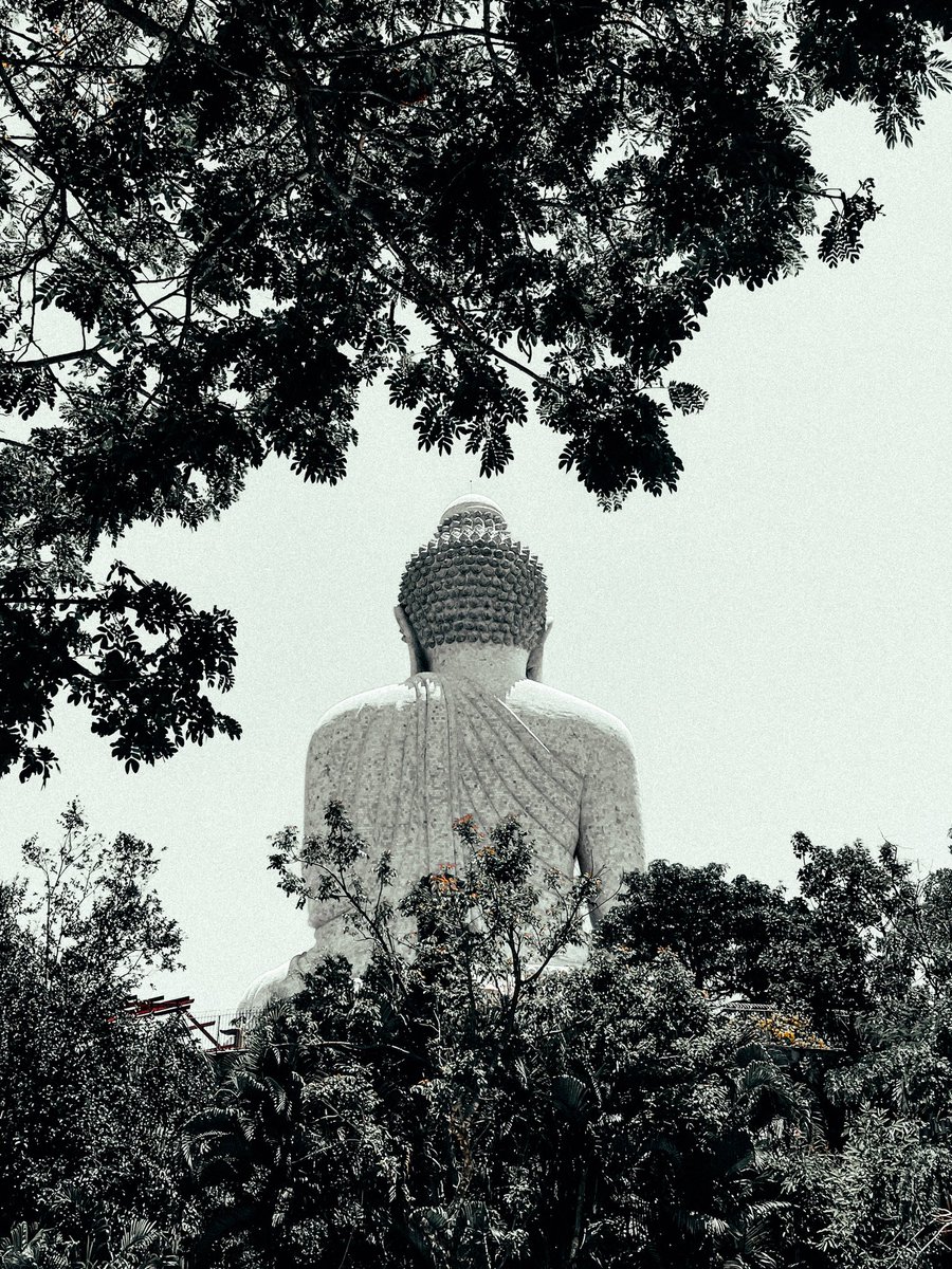 а мог бы быть славный денек… tweet media