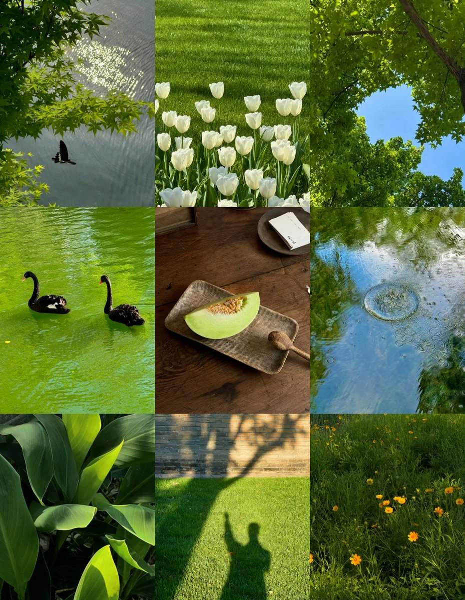 Queenmoon583288's tweet image. #周末，走出家门，来一次 #ColorWalk，色彩寻宝，遇见不一样的春天，也遇见更快乐的自己。