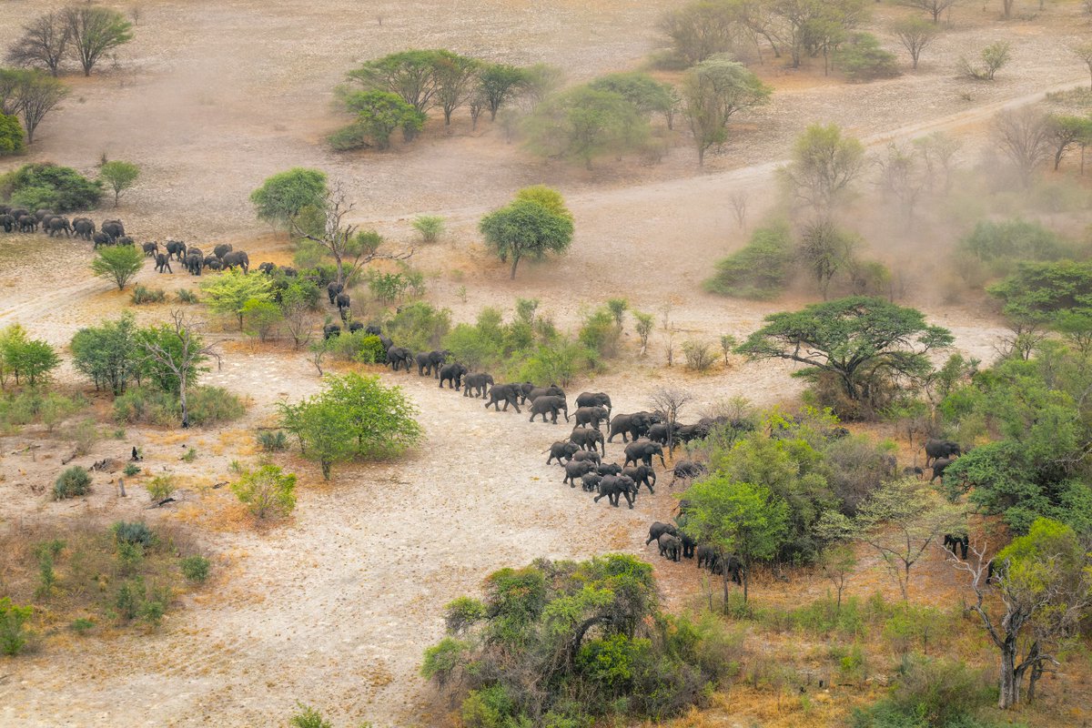 This #InternationalDayOfForests, we celebrate the forests that breathe life into our landscape, connecting wildlife, sustaining communities, and shaping a more resilient future.
#Naturalresources 
#InternationalDayofForests