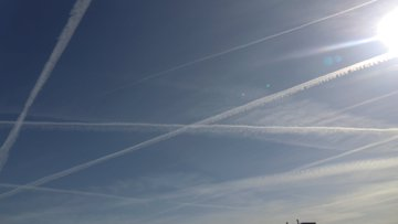 Jean Lucien Picard tweet media